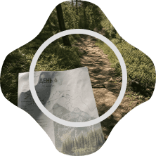 Souvi's four-petal camera view
